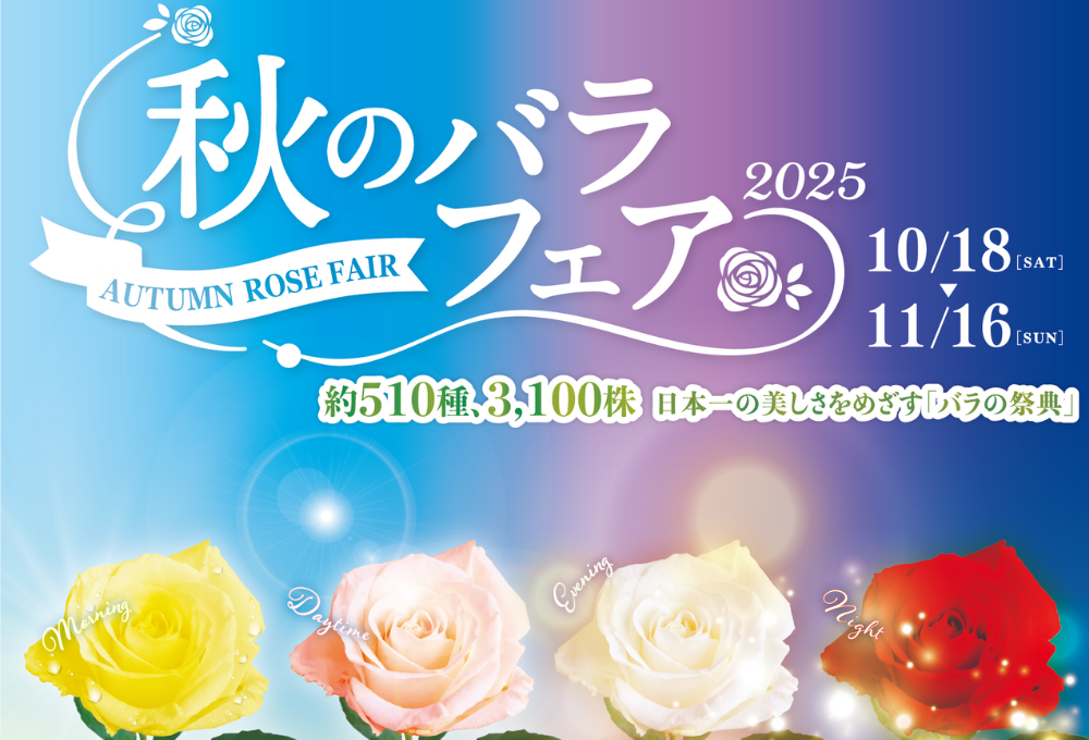 れいにゃん様✩⋆確認専用ページ ハーフバースデーガーランド（ネーム含む） nakayokuバースデー｜ハーモニーランド